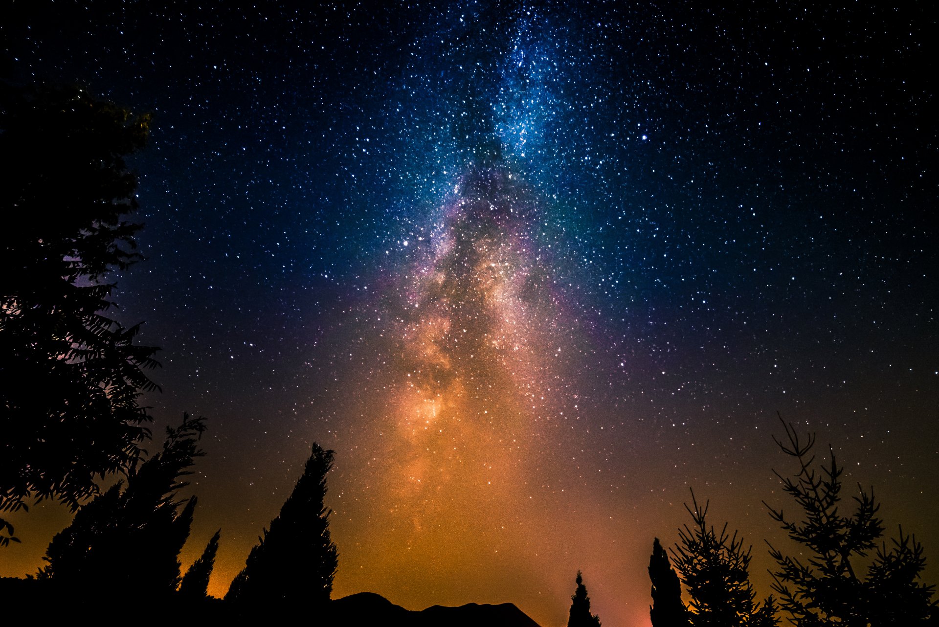 star night wallpaper,sky,nature,atmospheric phenomenon,night,tree