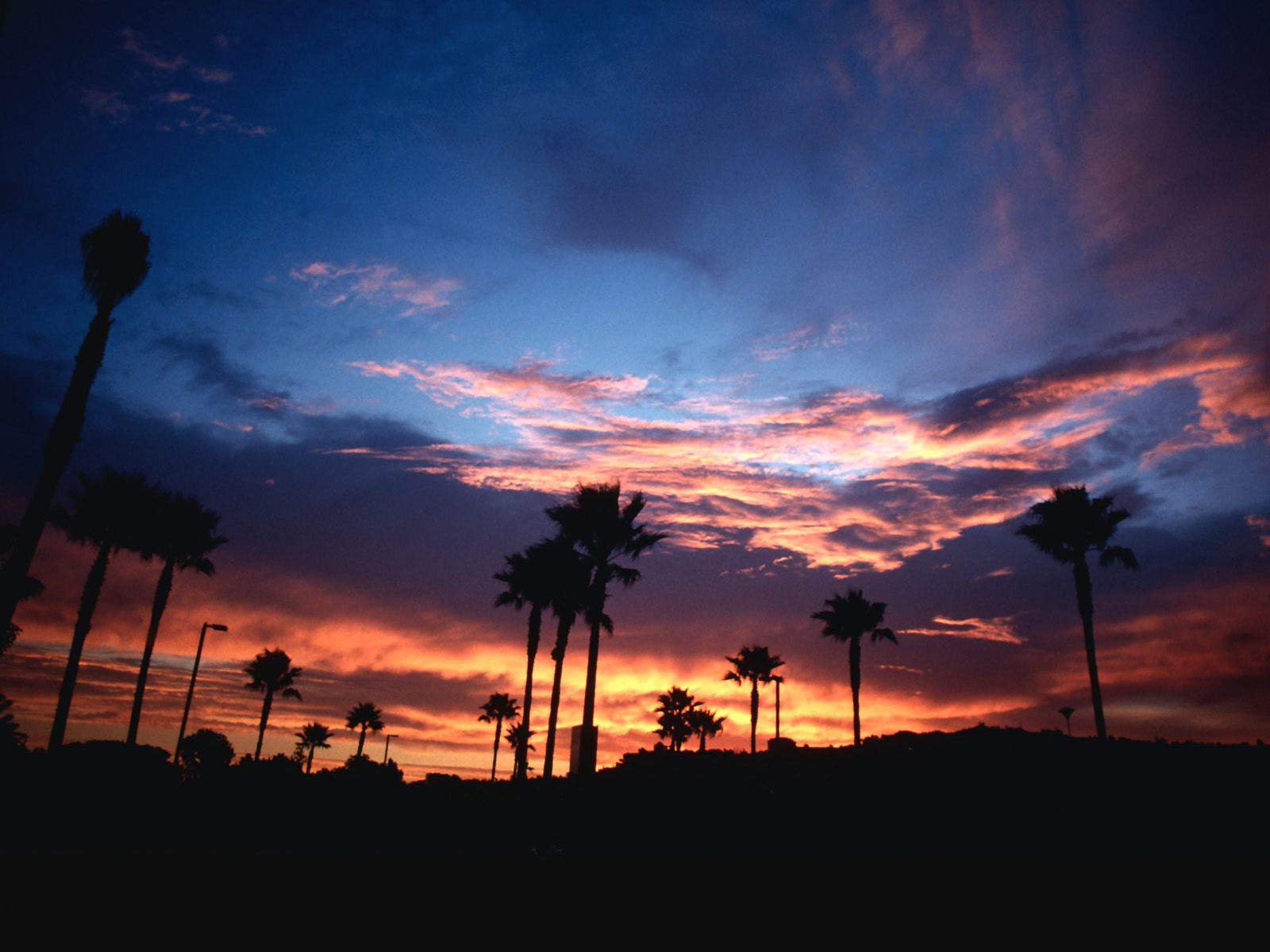 sfondo del computer tumblr,cielo,nube,ultimi bagliori,tramonto,albero