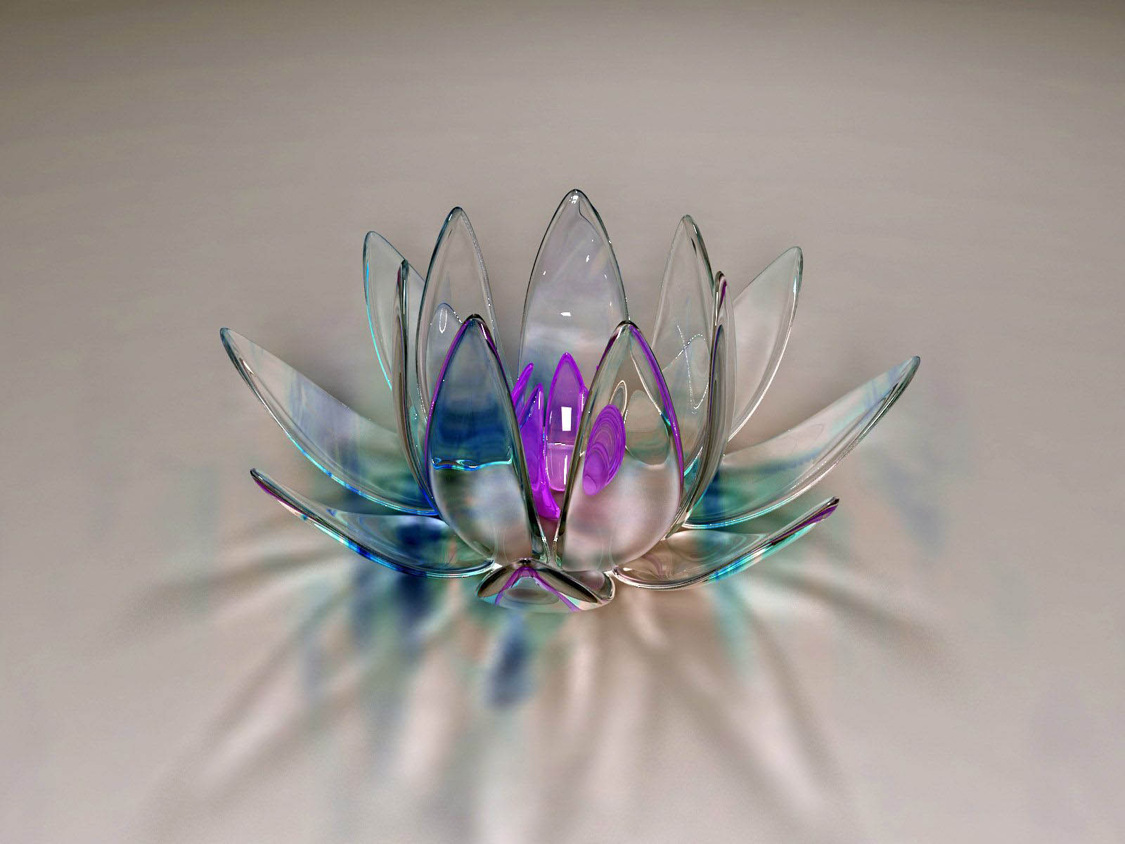 papel pintado de vidrio,azul,planta,flor,vaso,turquesa