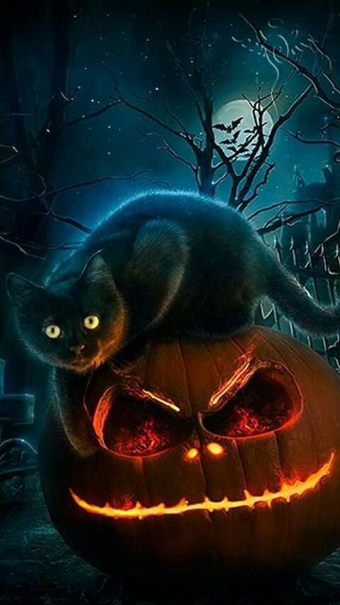 halloween phone wallpaper,black cat,organism,cat,darkness,fiction