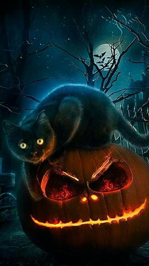 carta da parati del telefono di halloween,gatto nero,gatto,buio,finzione,personaggio fittizio