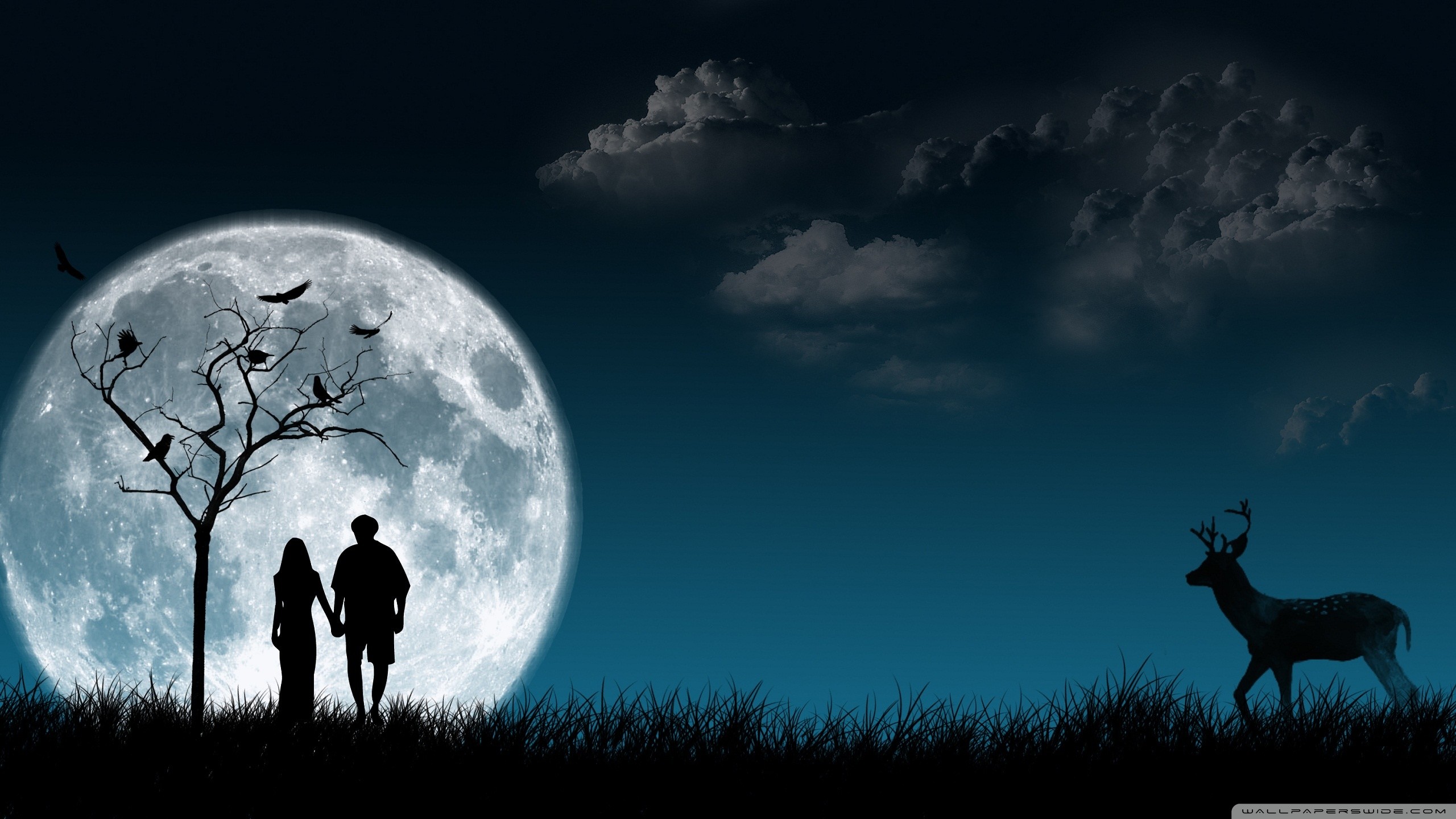 horror wallpaper 3d,sky,moonlight,deer,wildlife,atmosphere