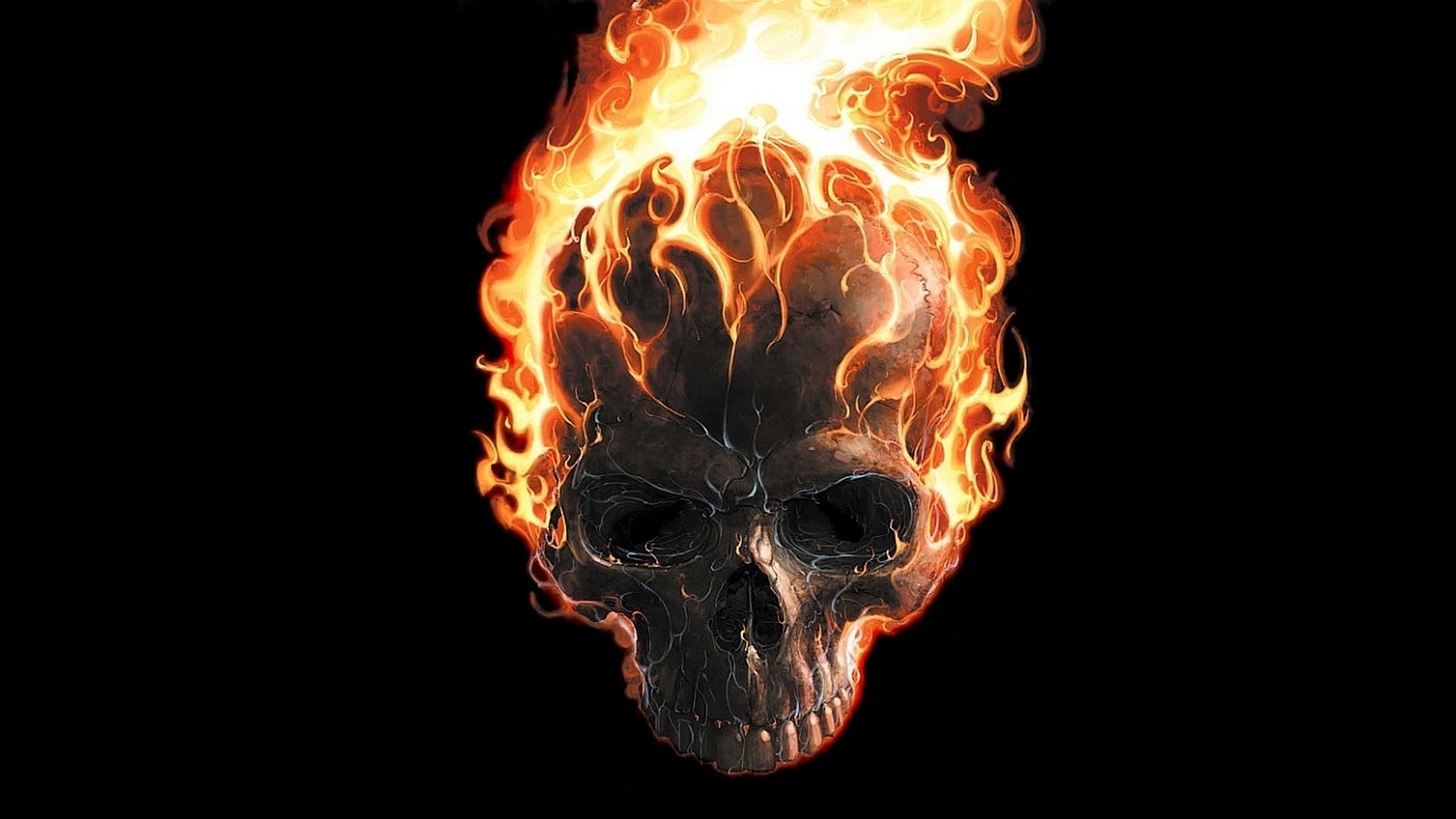 fire skull wallpaper,flame,fire,heat,skull,bone