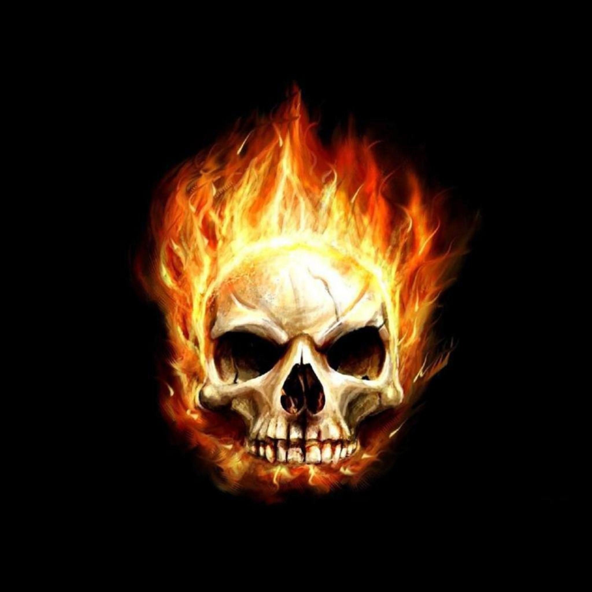 fondo de pantalla de calavera de fuego,cráneo,hueso,fuego,naranja,fuego
