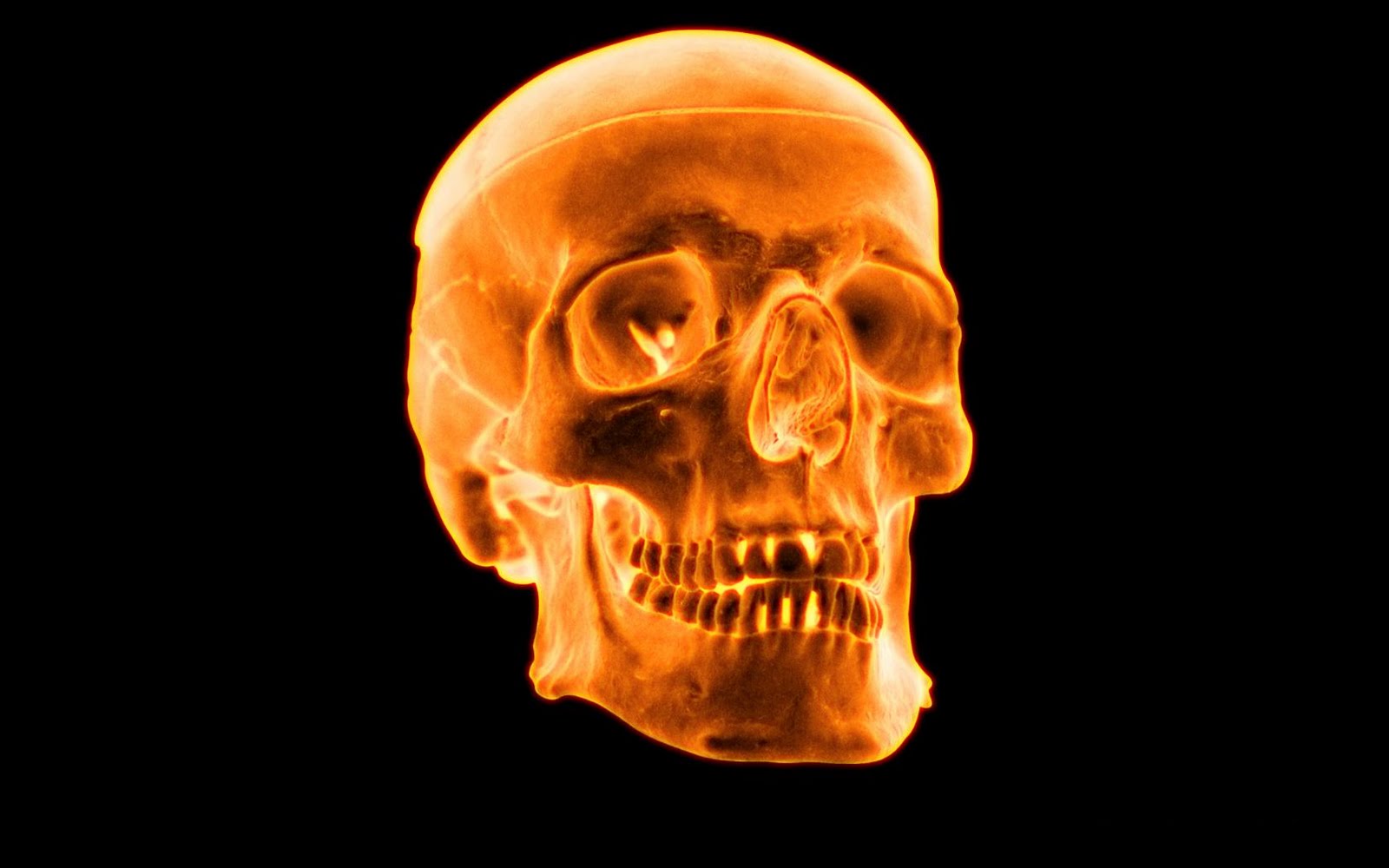 fire skull wallpaper,skull,bone,head,jaw,skeleton