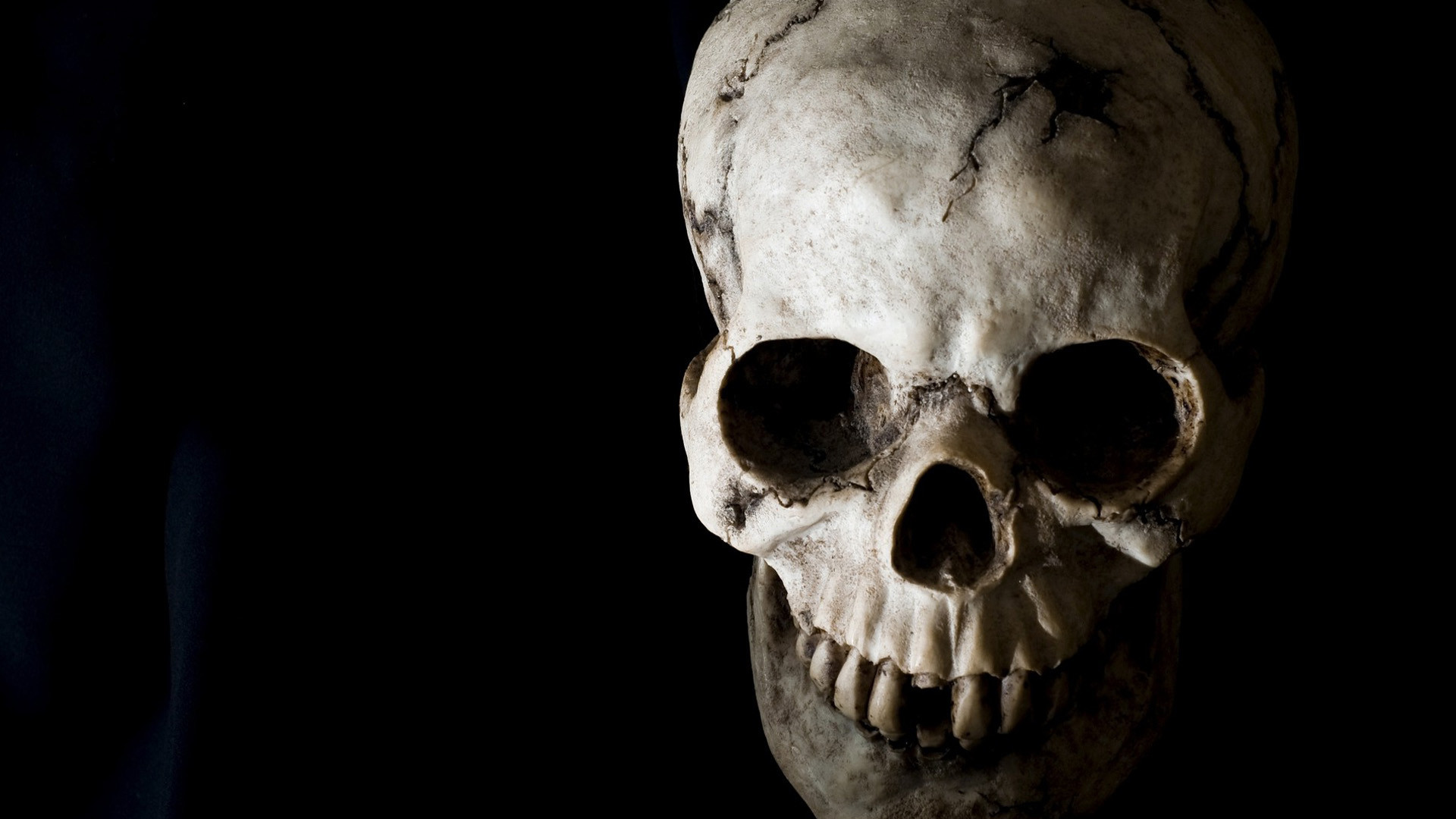 carta da parati teschio nero,osso,cranio,testa,scheletro,mascella