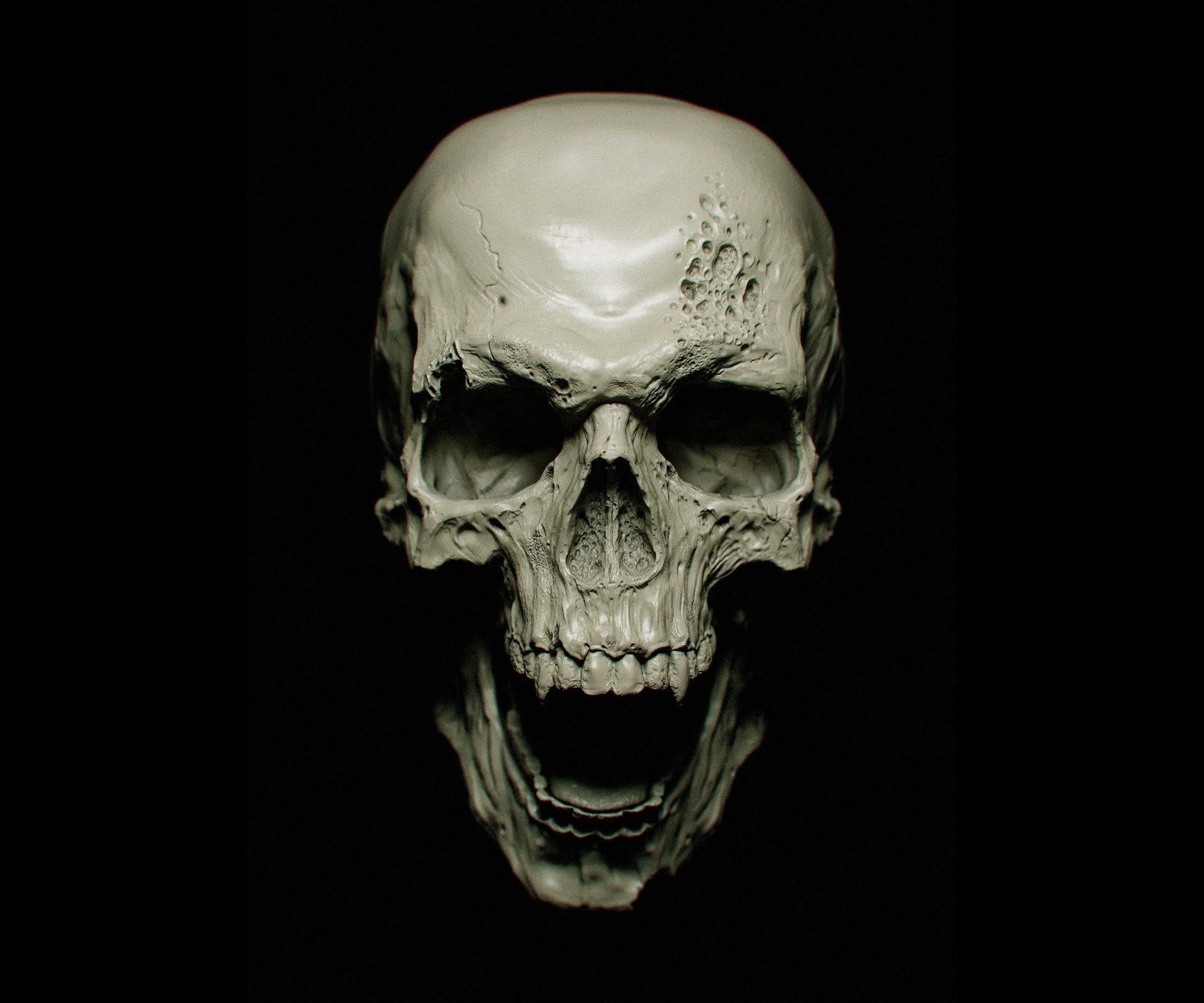 carta da parati teschio nero,osso,cranio,mascella,scheletro,testa
