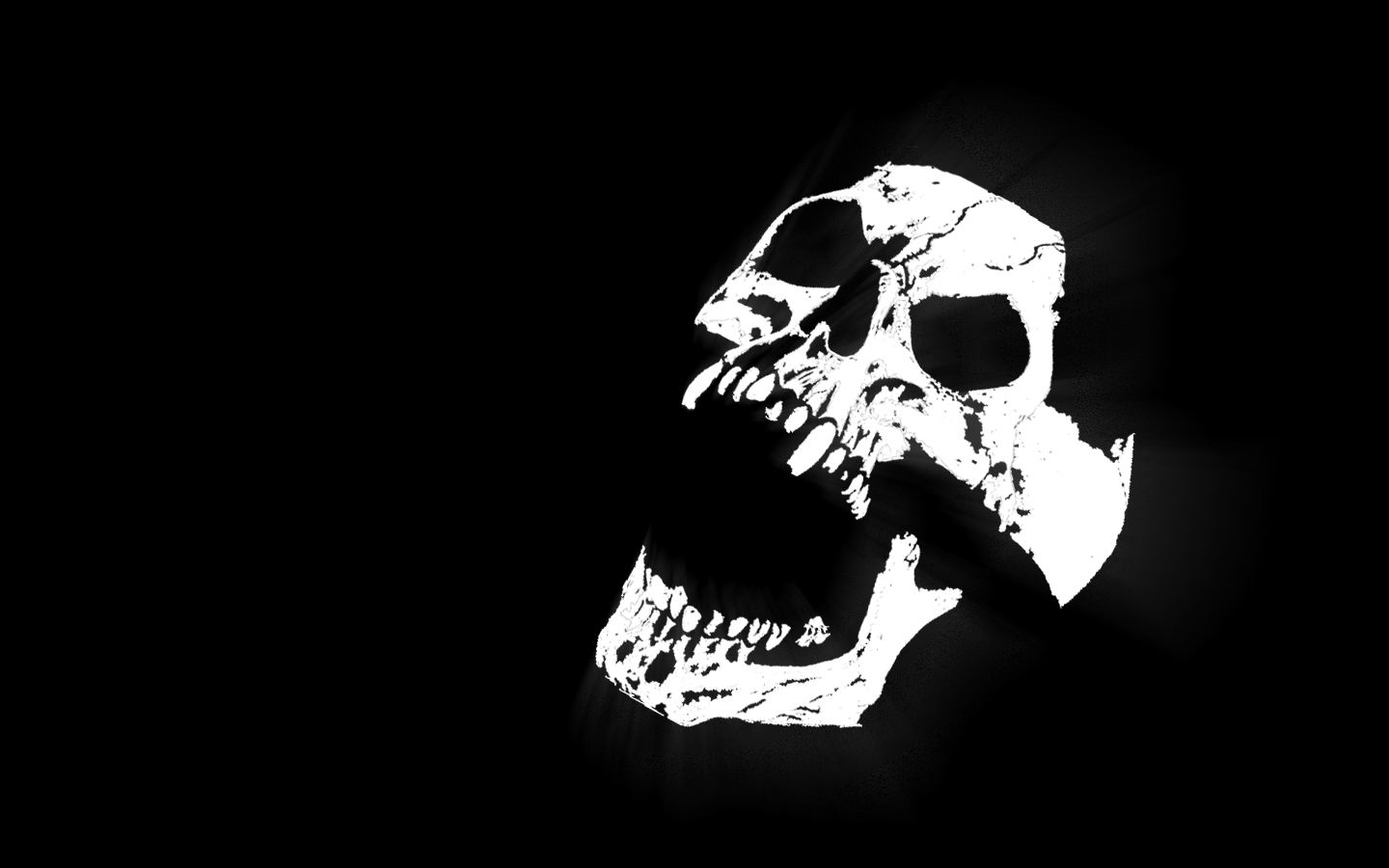 black skull wallpaper,skull,black and white,bone,monochrome photography,font