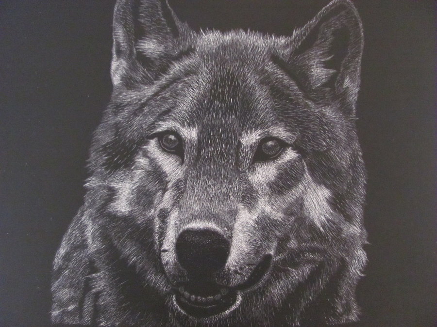 커트 벽지,개,늑대,야생 동물