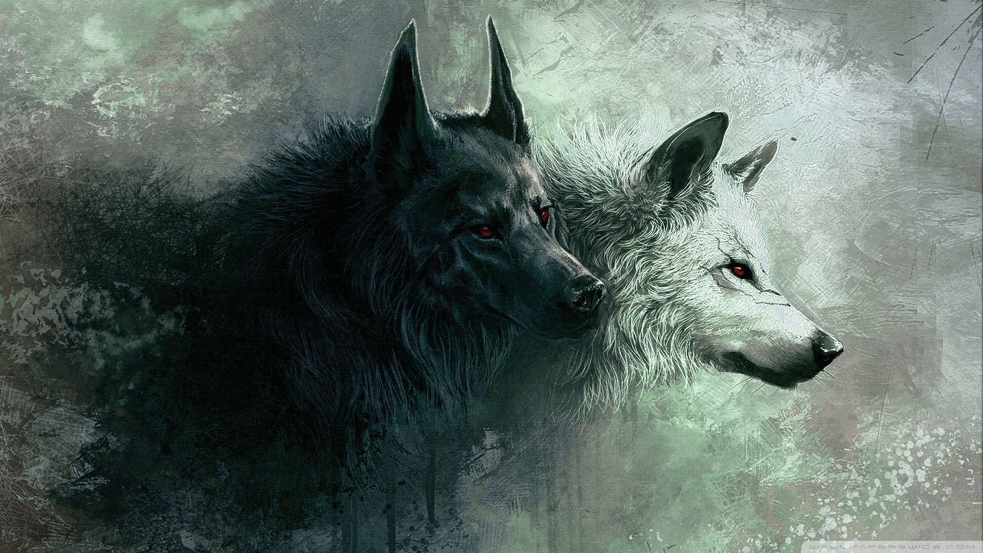 kurt wallpaper,wolf,canis lupus tundrarum,tschechoslowakischer wolfshund,wolfshund,hund