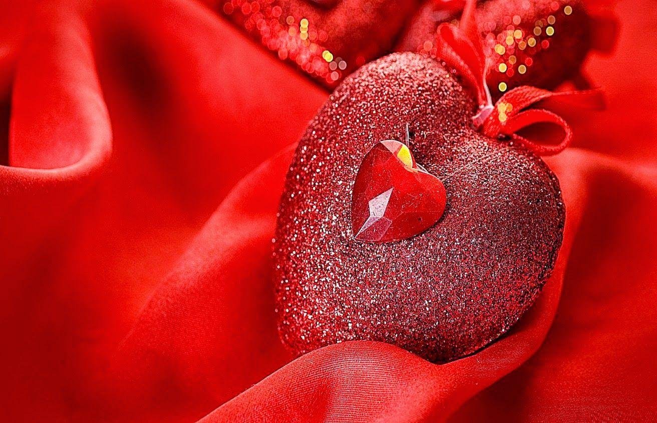 love animation wallpaper,red,close up,water,flower,macro photography