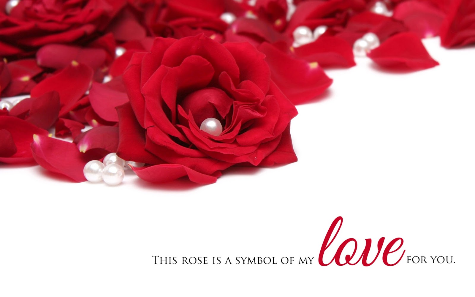 愛のバラのhdの壁紙,赤,庭のバラ,花,ローズ,花弁