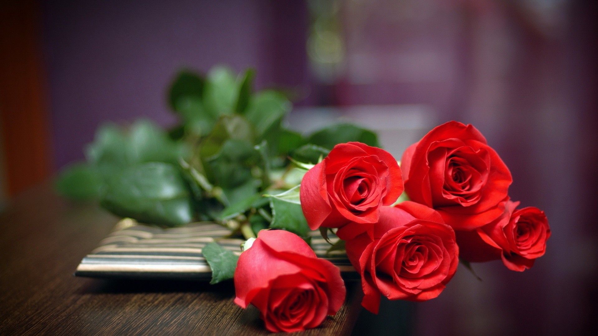 download gratuito di hd di rosa fiore carta da parati,rosso,rose da giardino,fiore,rosa,petalo