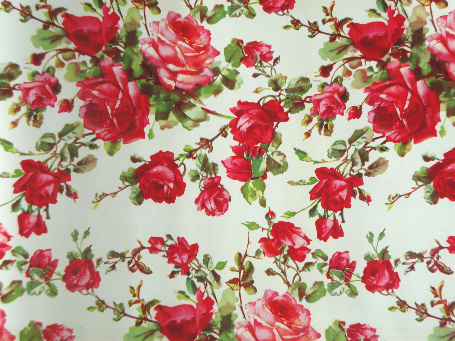 빈티지 꽃 벽지,빨간,분홍,정원 장미,꽃,장미