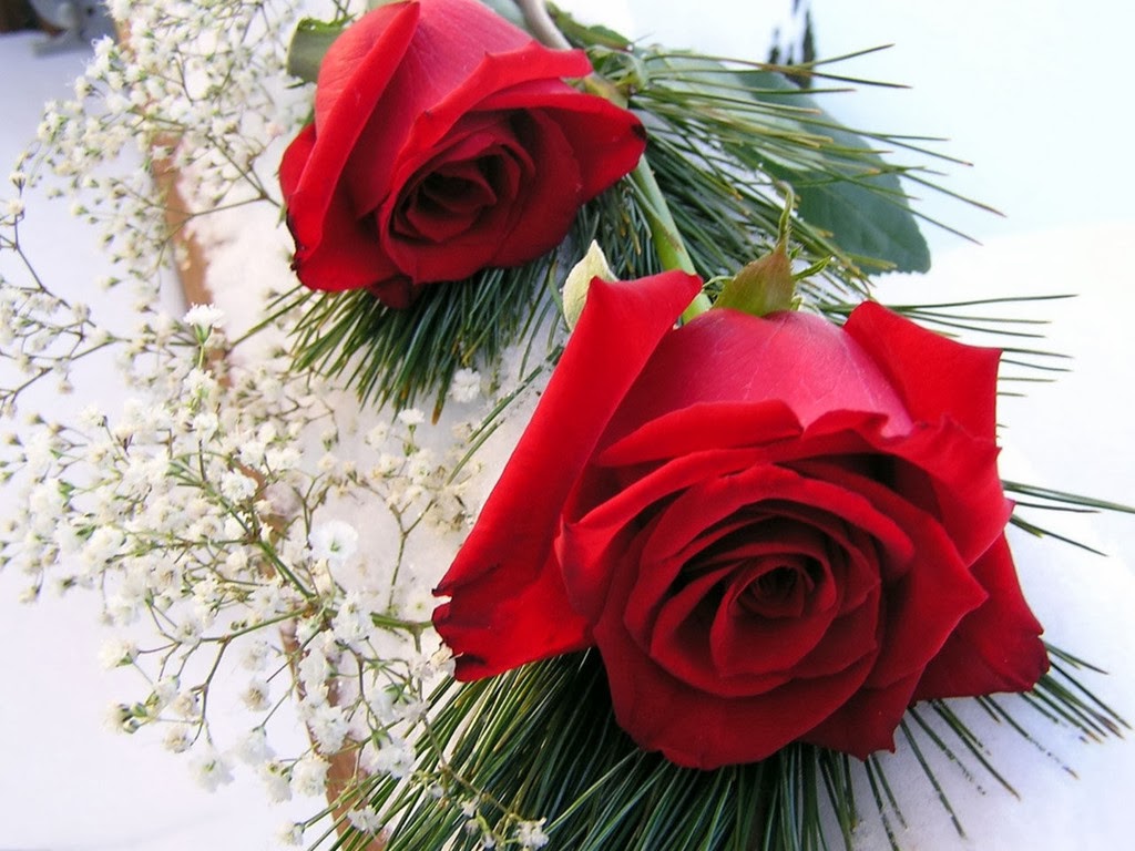 愛のバラの壁紙,花,庭のバラ,ローズ,赤,切り花