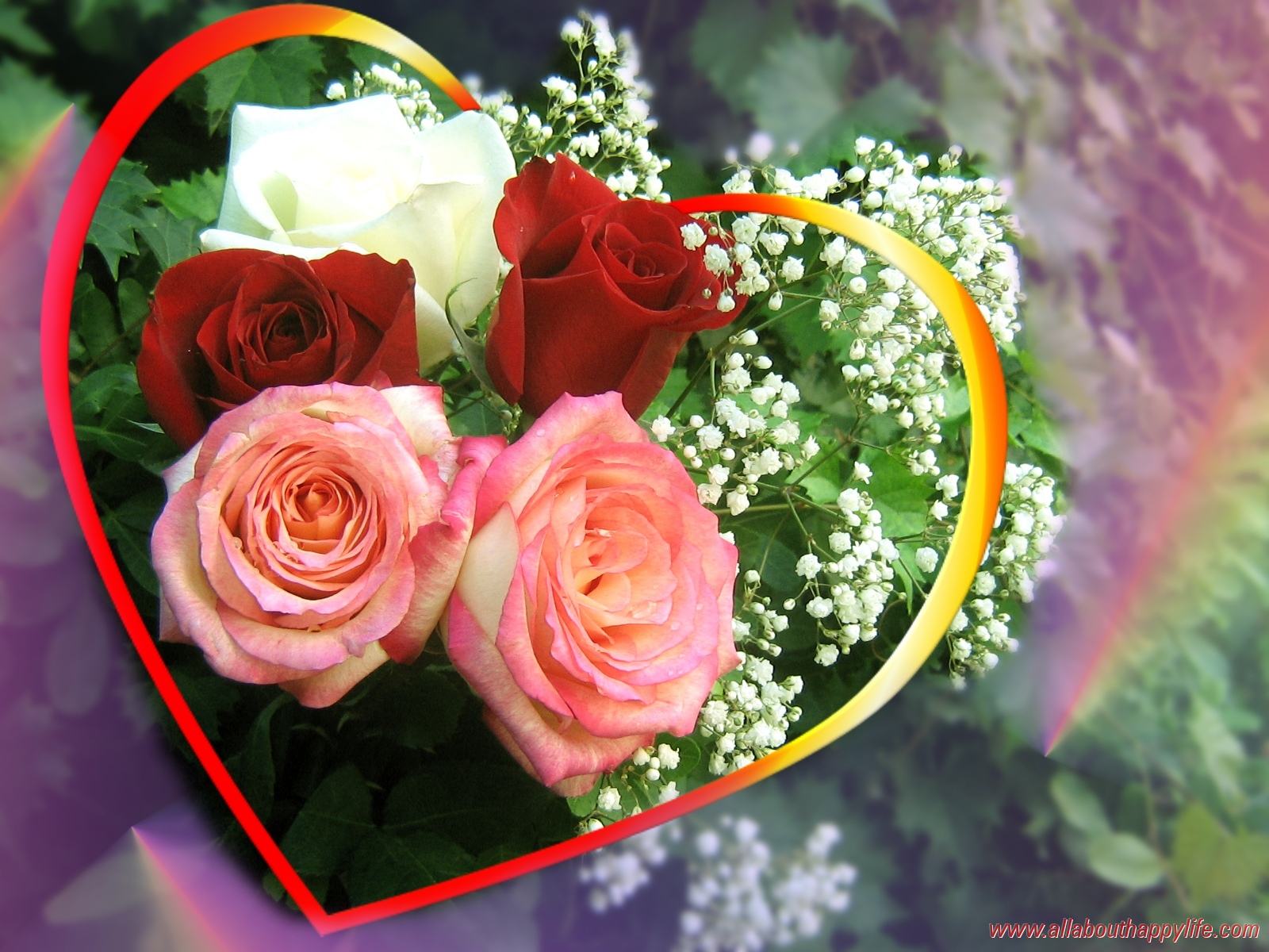 愛のバラの壁紙,花,庭のバラ,ローズ,ピンク,フラワーアレンジメント