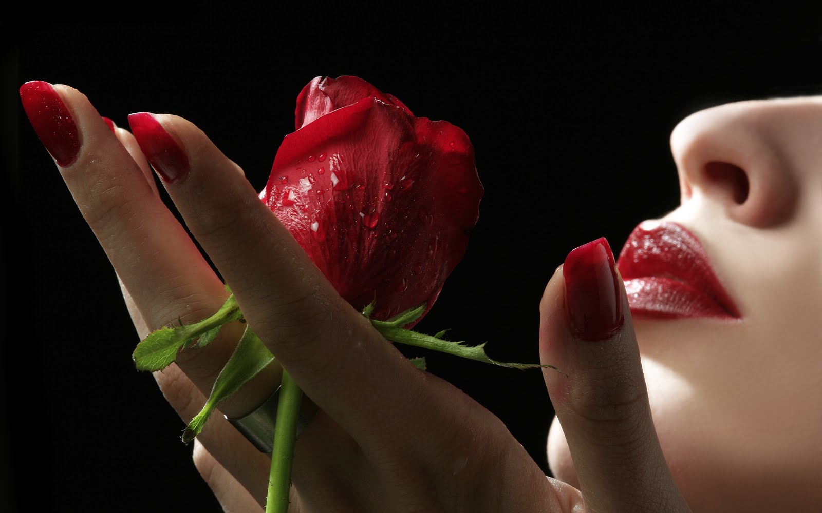 fondo de pantalla full hd rose,rojo,labio,boca,belleza,mano