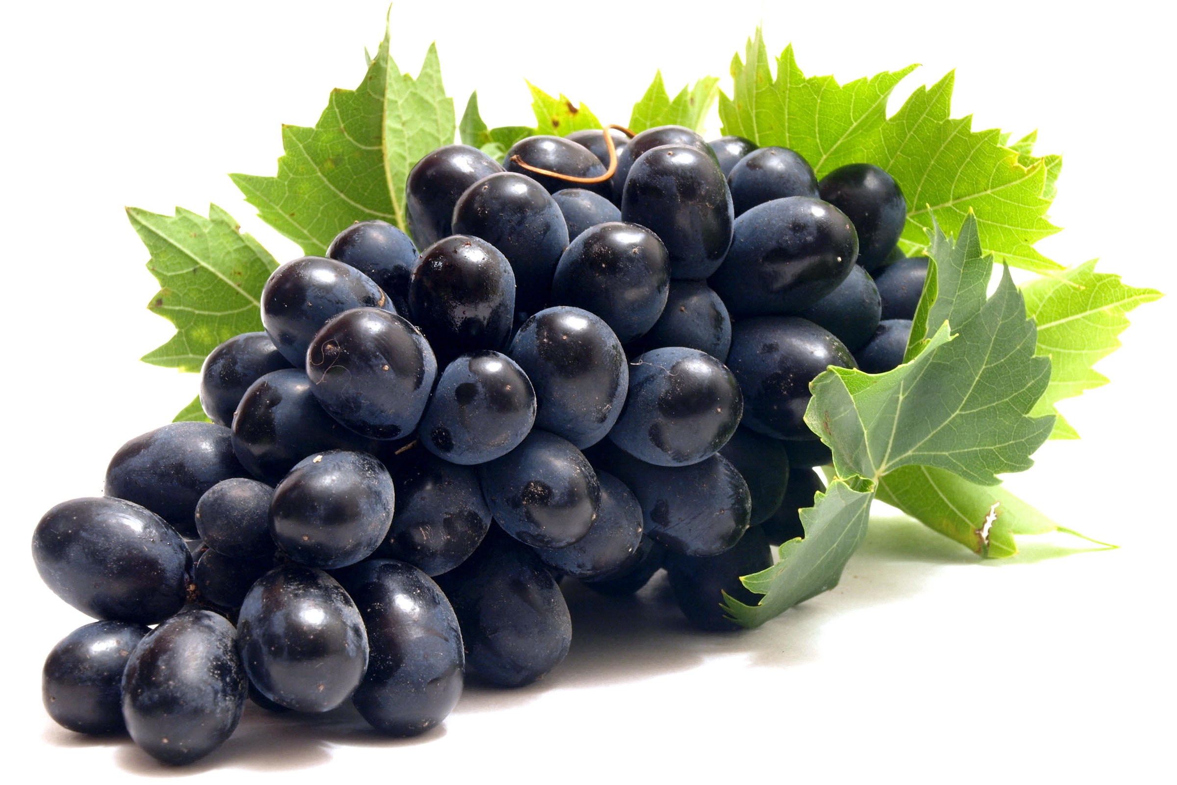 grapes wallpaper,grape,natural foods,fruit,berry,food