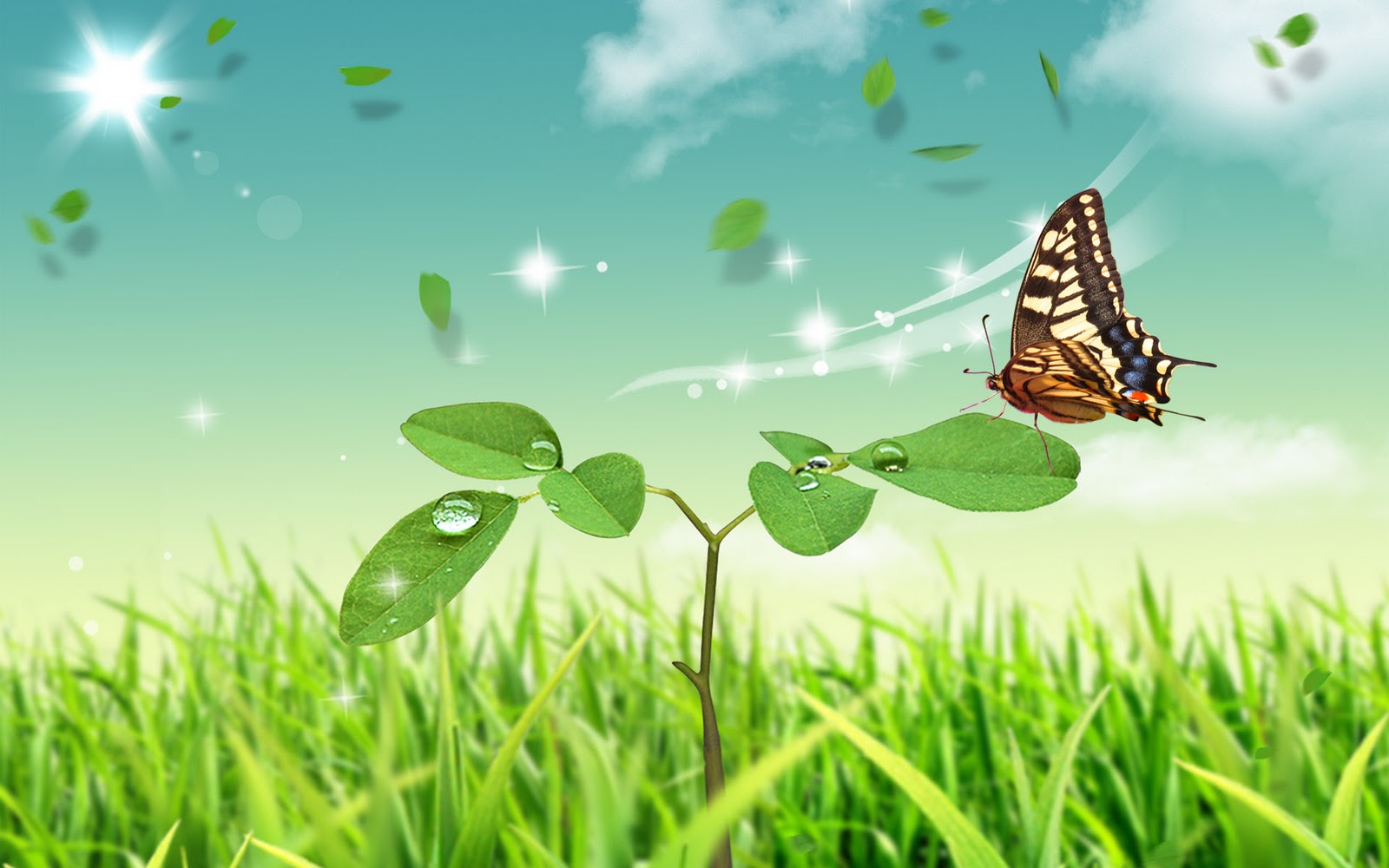 carta da parati roj,la farfalla,verde,natura,paesaggio naturale,insetto