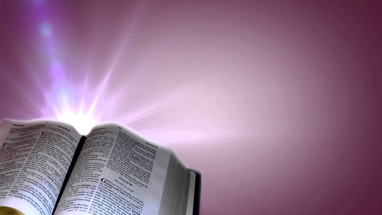 bibeltapete,lila,rosa,violett,text,buch