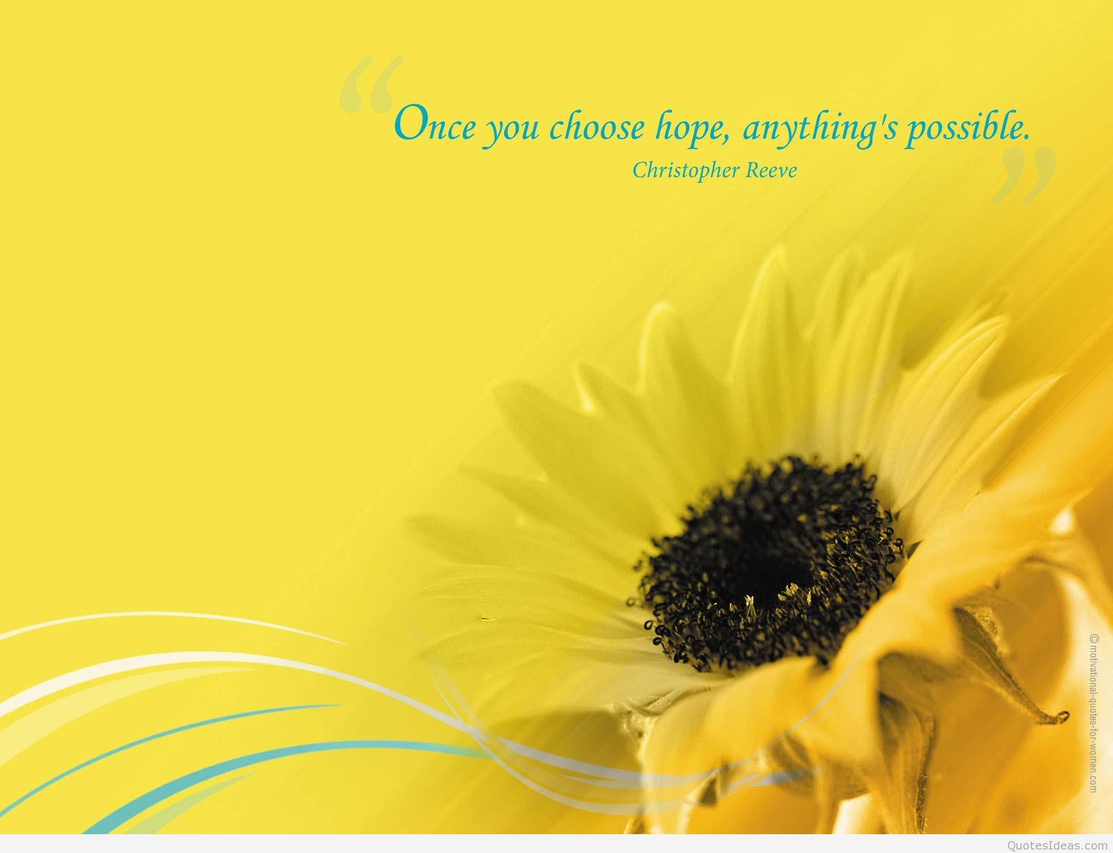 inspirational quotes wallpaper hd free download,sunflower,yellow,flower,sunflower,text