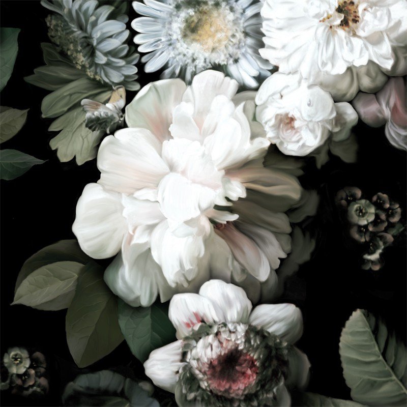 어두운 꽃 무늬 벽지,꽃,꽃 피는 식물,꽃잎,식물,국화