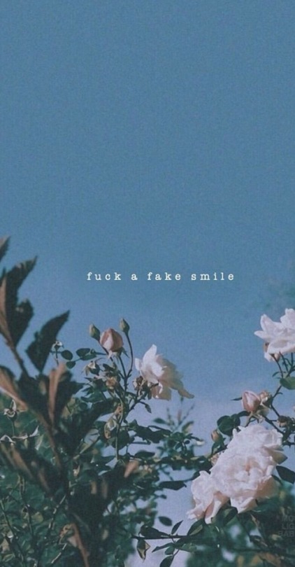 tumblr wallpaper zitate,himmel,pflanze,blume,schriftart,wildblume
