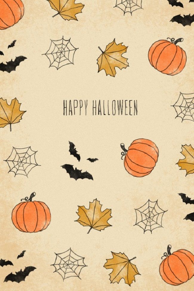 cute fall wallpaper,pumpkin,leaf,orange,calabaza,pattern