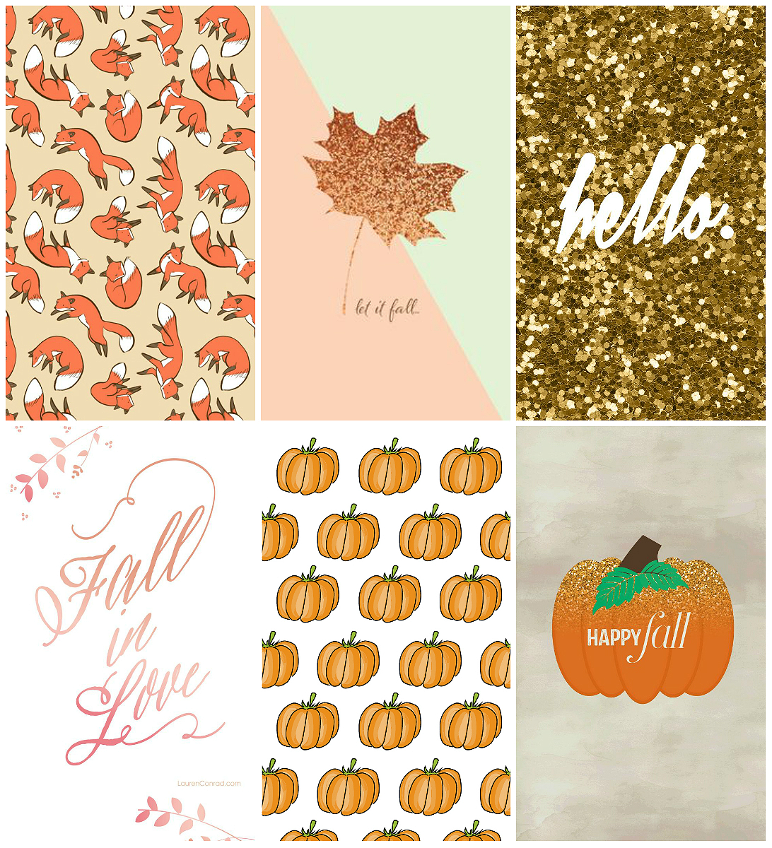 かわいい秋の壁紙,葉,オレンジ,テキスト,フォント,クリップ・アート