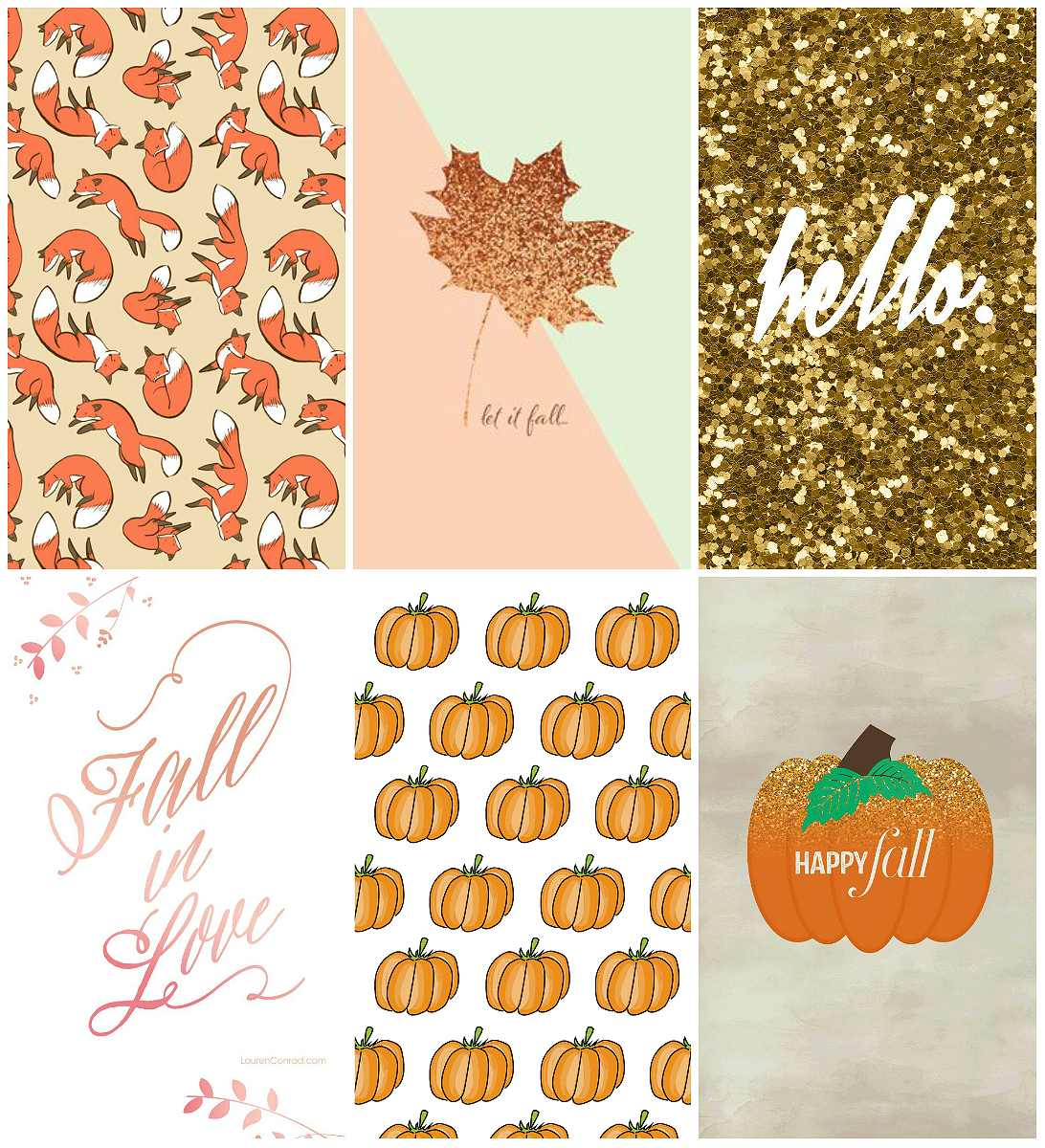 süße herbsttapete,blatt,orange,text,schriftart,clip art