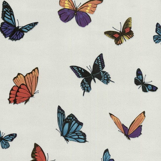 fondo de pantalla de julien macdonald,polillas y mariposas,mariposa,cynthia subgenus,insecto,invertebrado