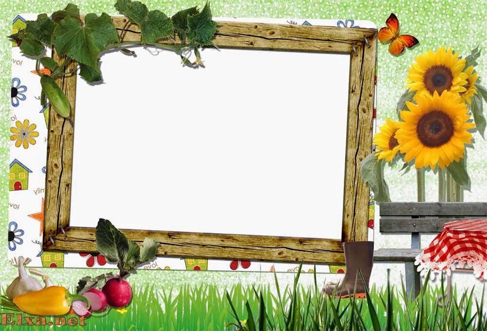 frame wallpaper,picture frame,grass,plant,flower,wildflower