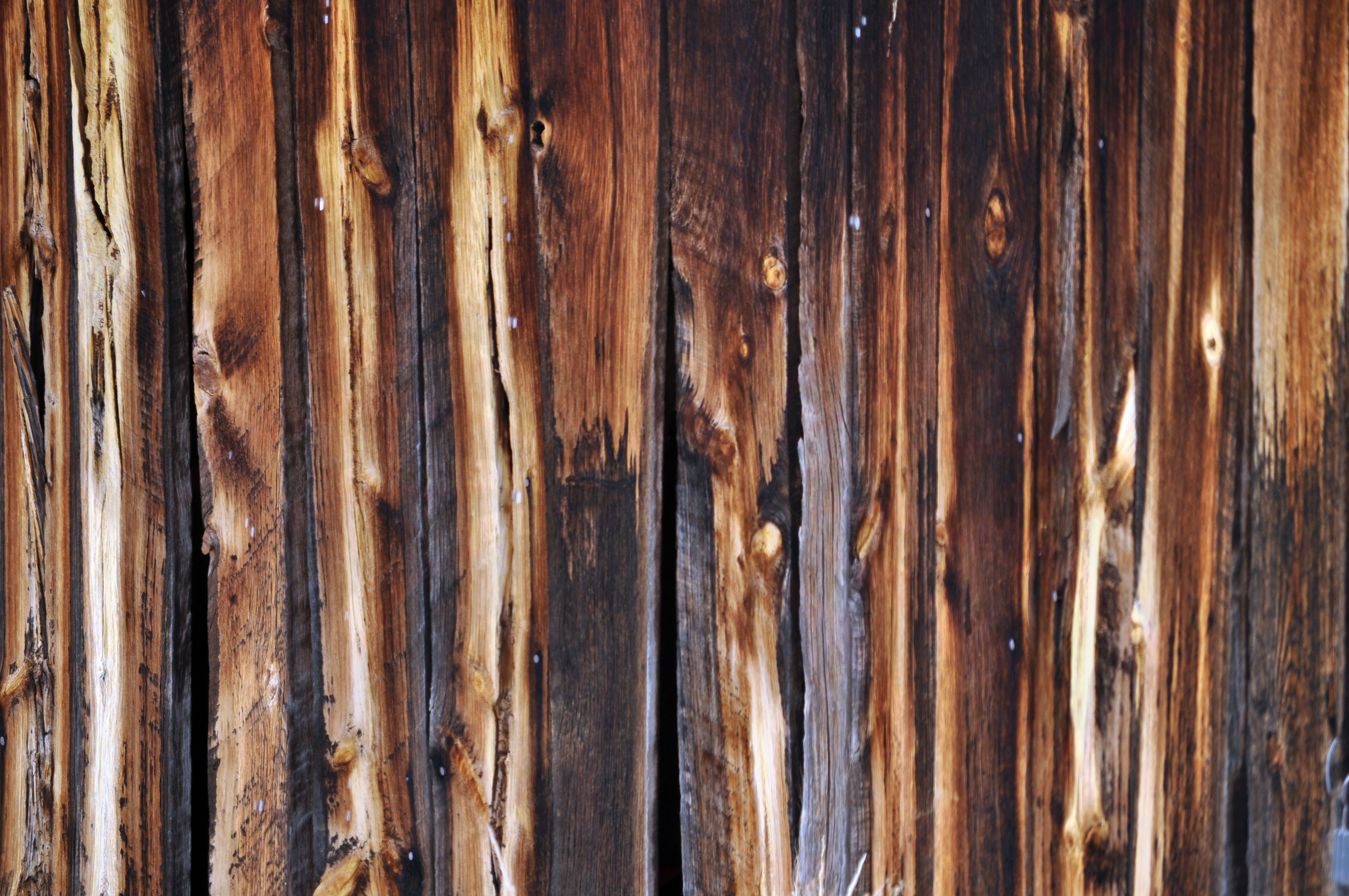 素朴な木の壁紙,木材,ウッドステイン,板,広葉樹,木材