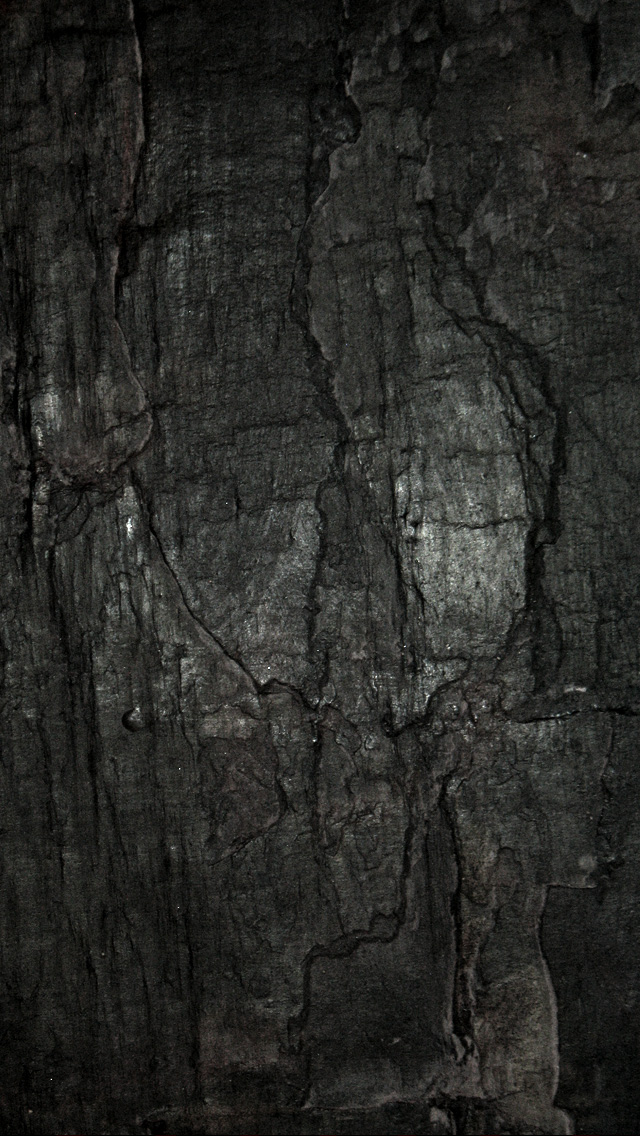 charcoal wallpaper,black,tree,trunk,wood,black and white
