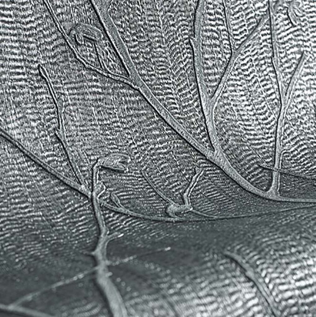 charcoal wallpaper,leaf,close up,black and white,monochrome,macro photography