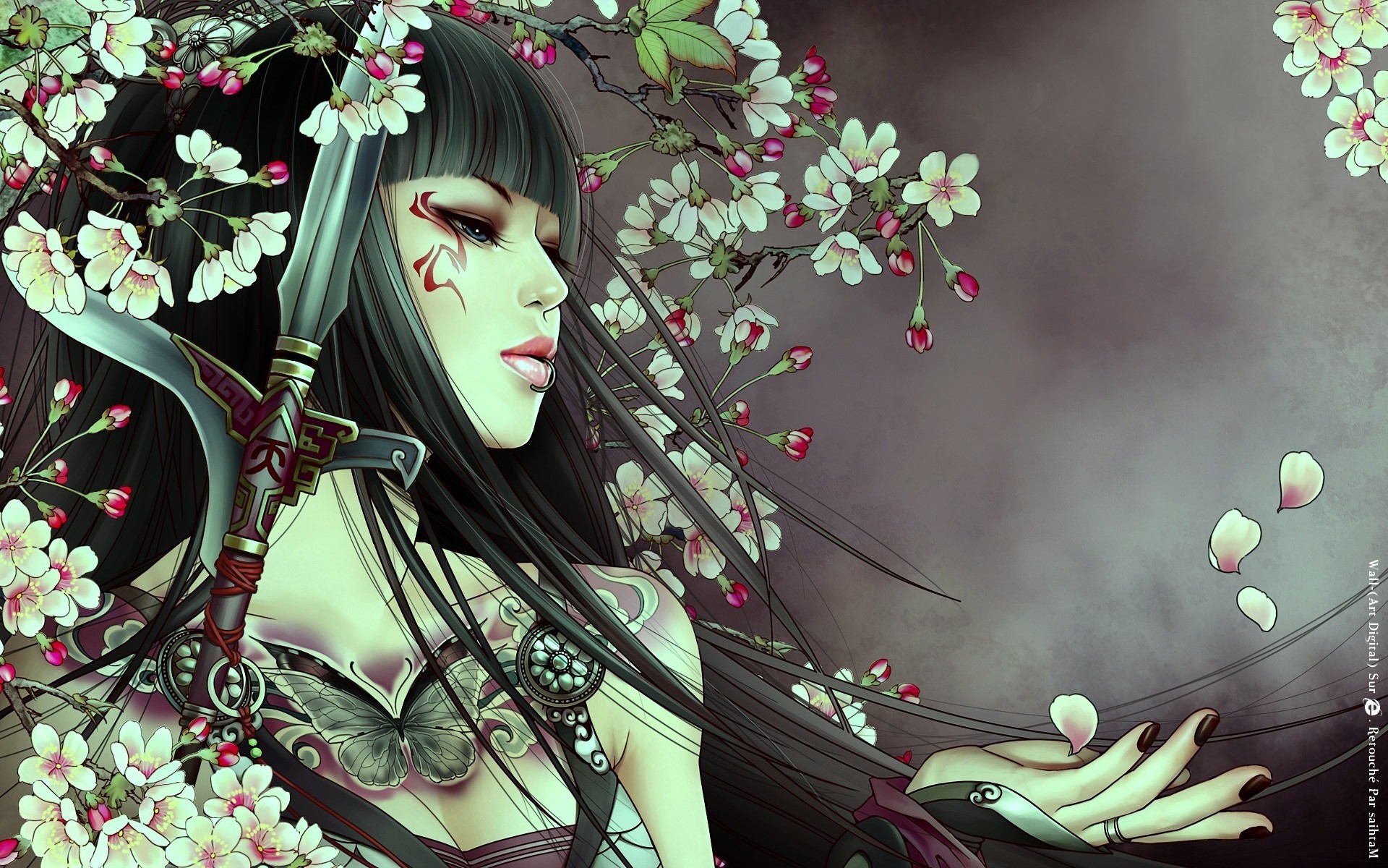 anime wallpapers and backgrounds,cg artwork,beauty,spring,black hair,illustration