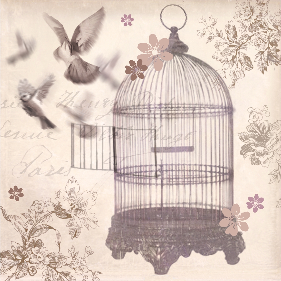 birdcage wallpaper,cage,bird,illustration,pet supply