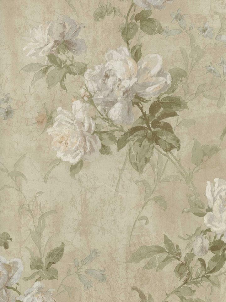 grey and cream wallpaper,wallpaper,flower,botany,plant,pattern