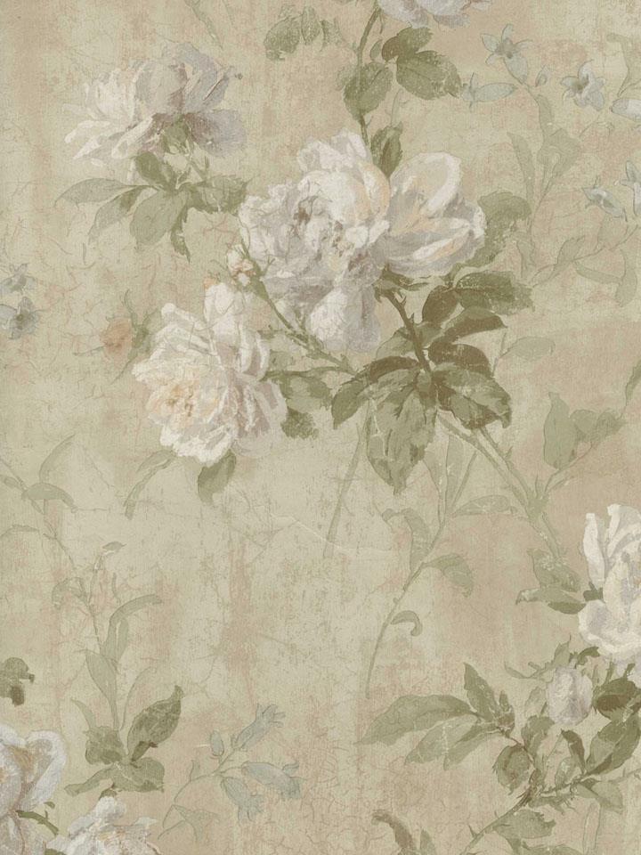 papel pintado gris y crema,fondo de pantalla,flor,planta,modelo,textil