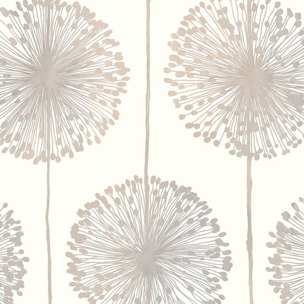 grey and cream wallpaper,dandelion,dandelion,line,pattern,plant