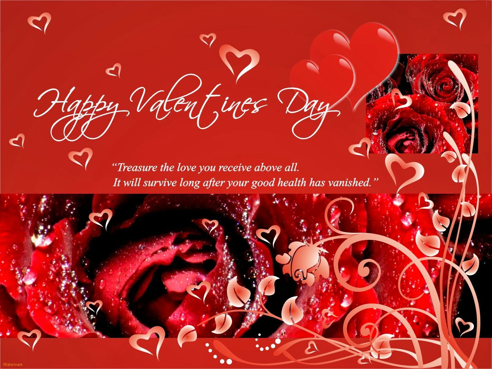 san valentino wallpaper hd,testo,rosso,san valentino,font,amore