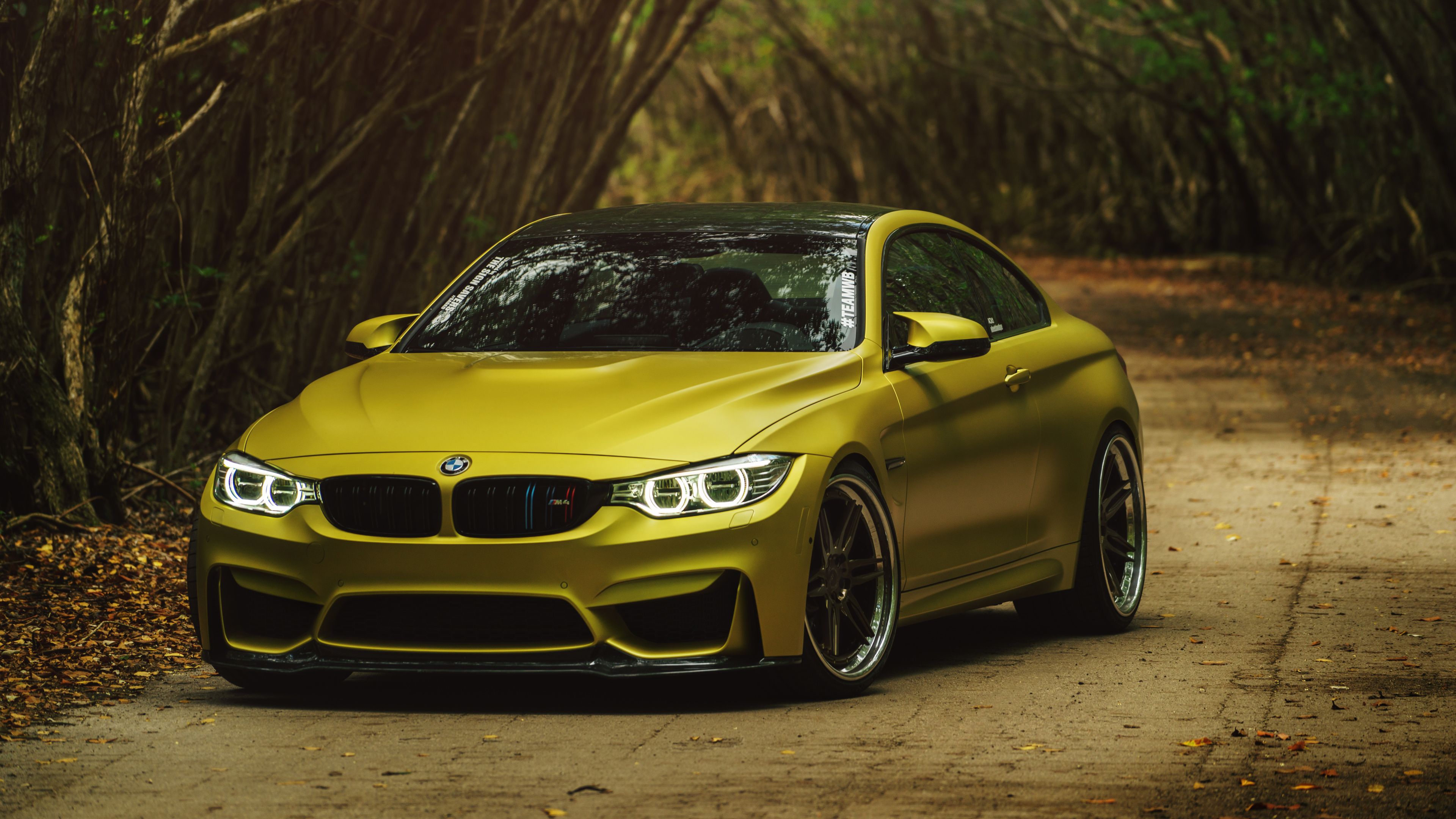 bmw m4 fondo de pantalla,vehículo terrestre,vehículo,coche,bmw,amarillo