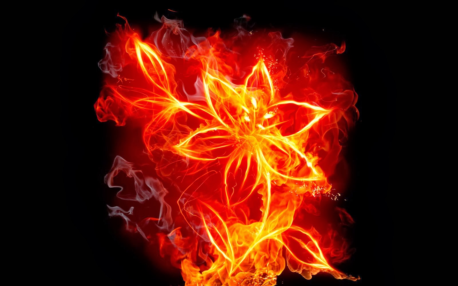 fire wallpaper hd,red,heat,orange,flame,light
