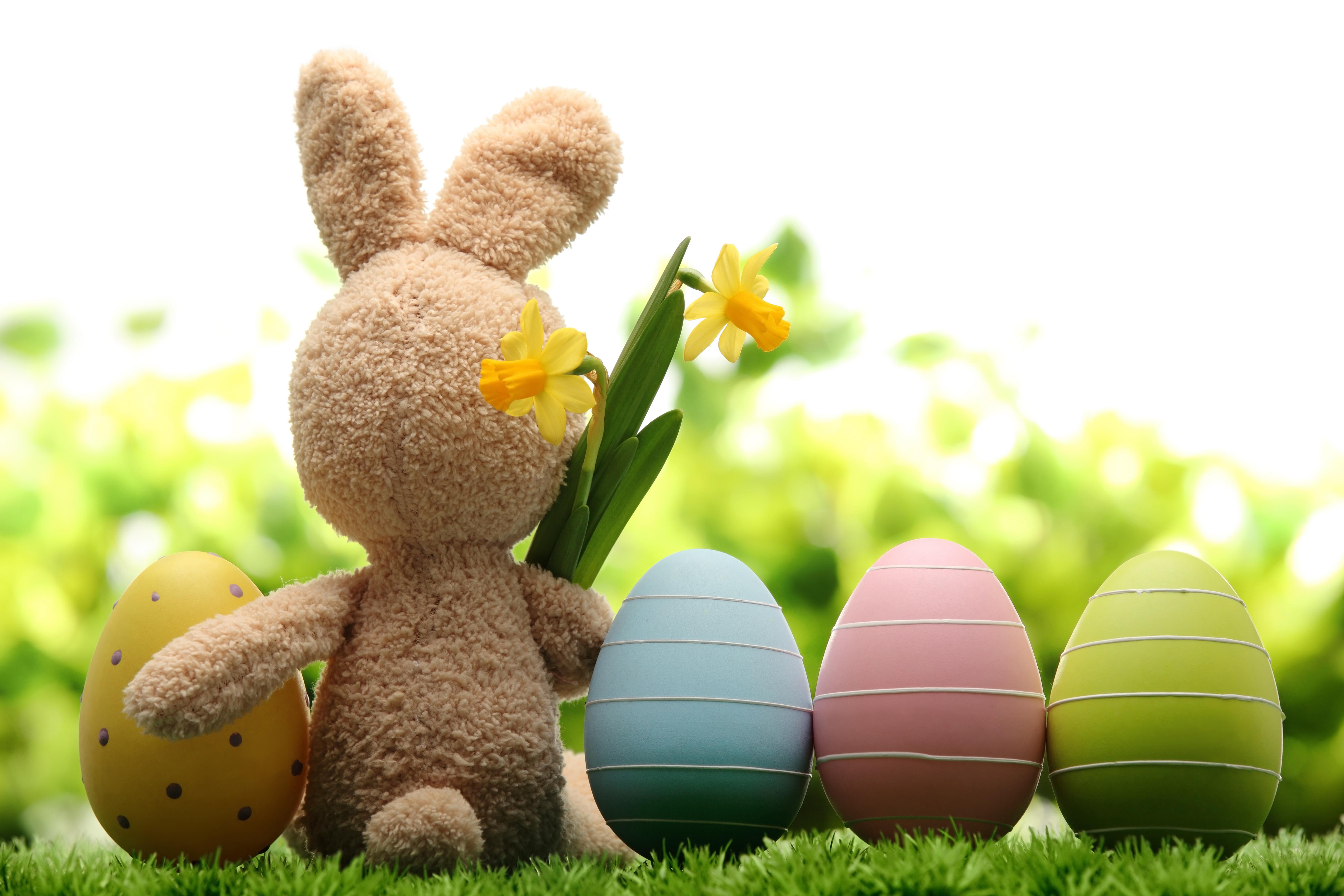 feliz pascua fondo de pantalla,huevo de pascua,césped,pascua de resurrección,peluche,conejo de pascua