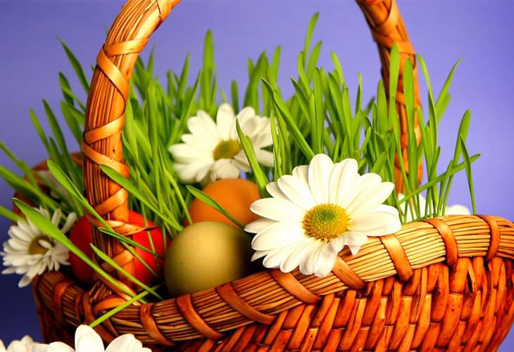 happy easter wallpaper,blume,blumen arrangement,gerbera,floristik,pflanze