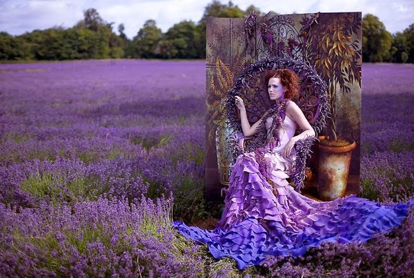 fb wallpaper hd,lavender,people in nature,purple,english lavender,violet