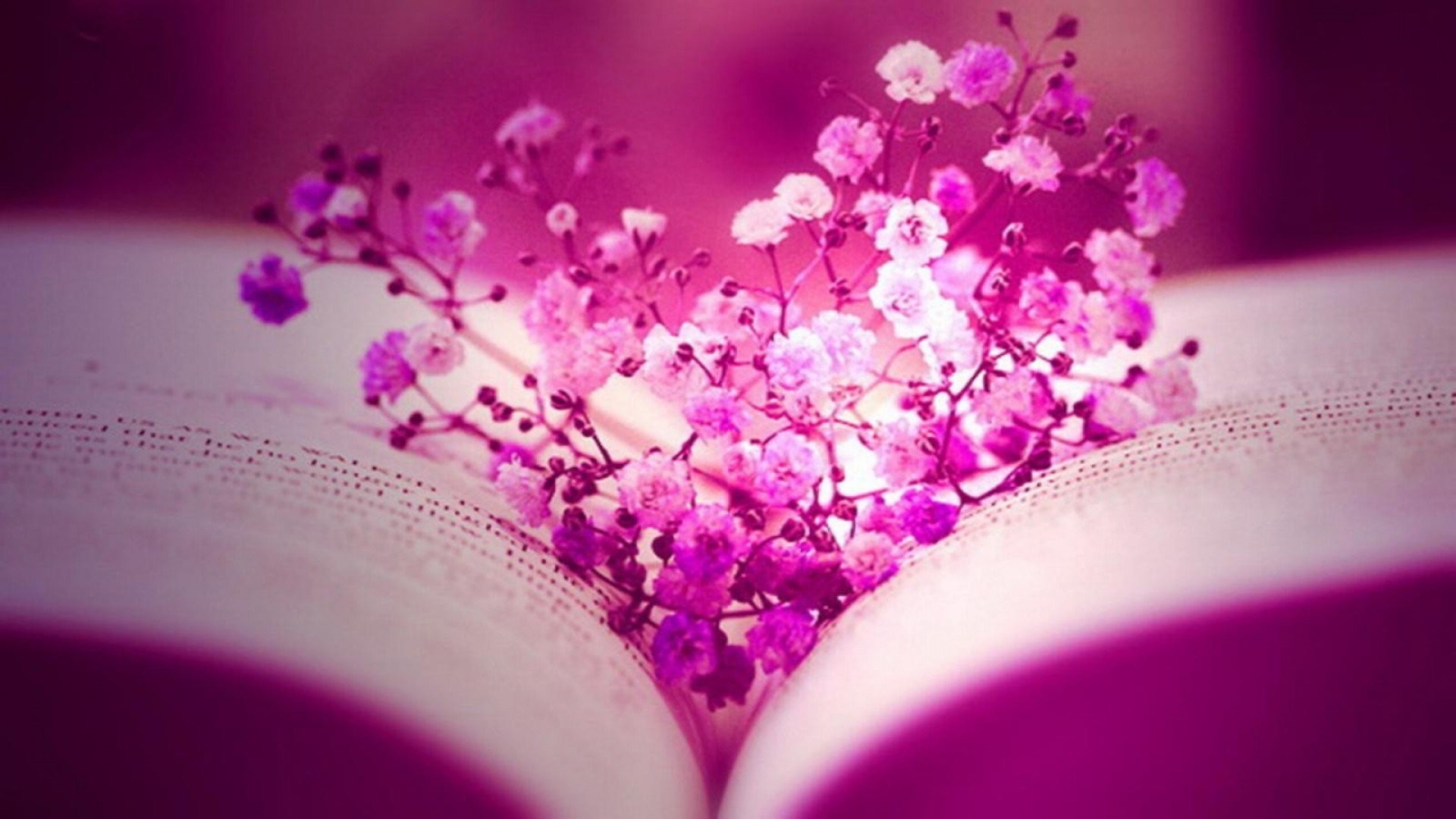 fb wallpaper hd,pink,purple,violet,lilac,lavender