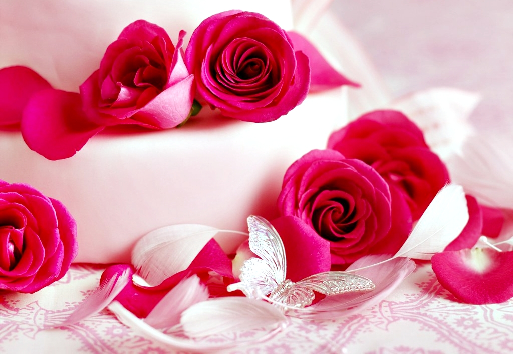 fondos de pantalla bunga cantik,rosado,rosas de jardín,flor,rosa,rojo