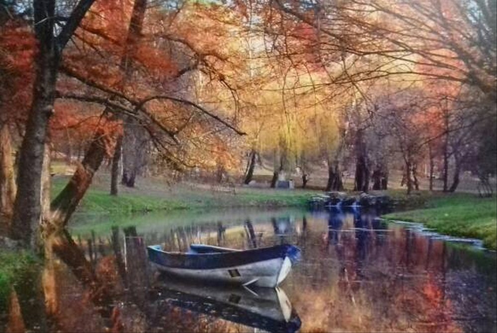 tapete dinding murah,natürliche landschaft,natur,betrachtung,wasserweg,baum