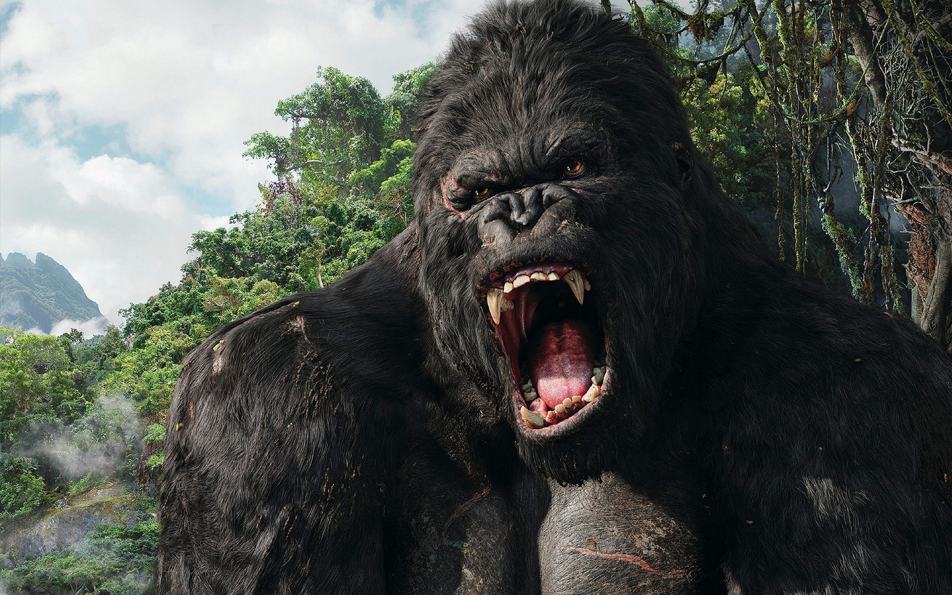 king kong wallpaper,facial expression,primate,terrestrial animal,snout,mouth